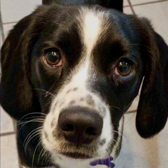 Meet your Posher, Katelyn - Picture 1 of 1